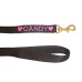 Personalised Embroidered Lead Rein
